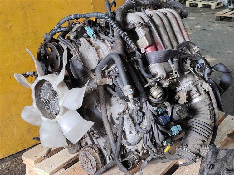 Двигатель Ниссан Эльгранд в Ачинске 51254